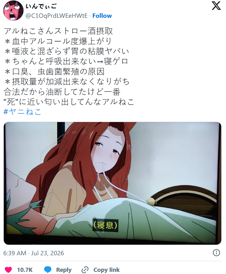 06fc3e67-56c5-41e1-9b7e-b21fce37624b.png