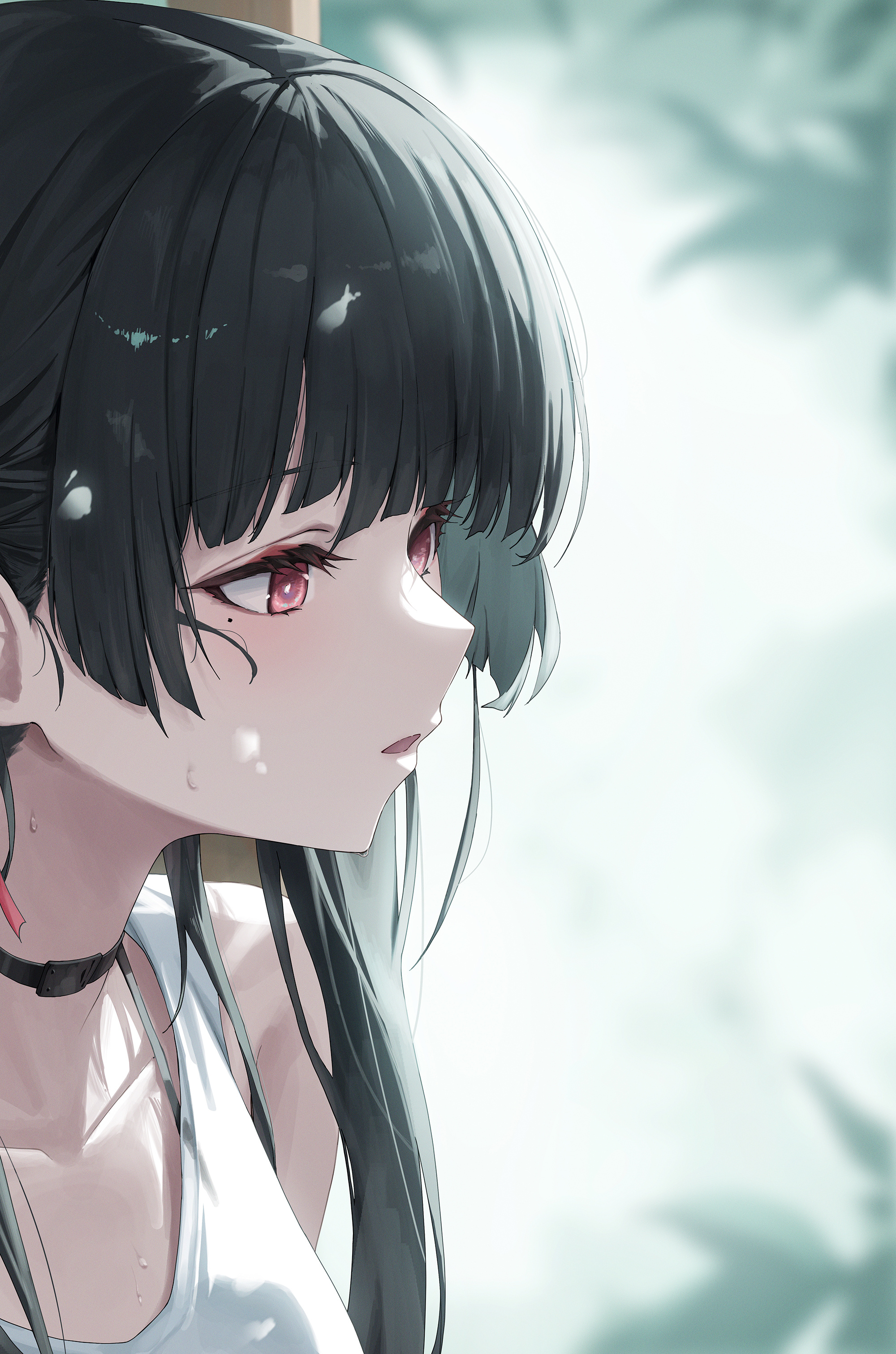 《星期一》许多可爱的萌妹子 八卦杂谈 | LycoPoi 《星期一》许多可爱的萌妹子