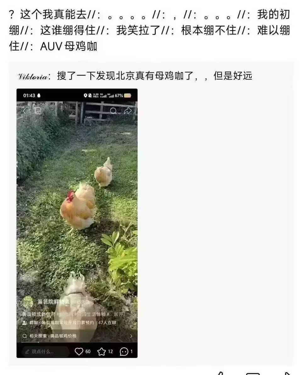 《星期一》萌妹子的第一印象 八卦杂谈 | LycoPoi 《星期一》萌妹子的第一印象