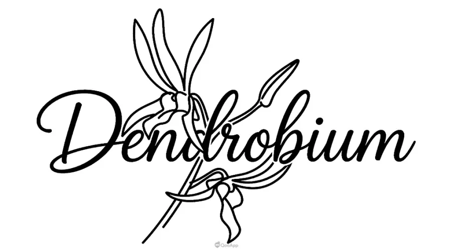 2.5D都市傳說冒險遊戲《MONOPHOBIA》確定參戰2026年東京電玩展!最新試玩Demo將於現場提供玩家體驗,未來也將實裝角色配音! 5 dendrobium
